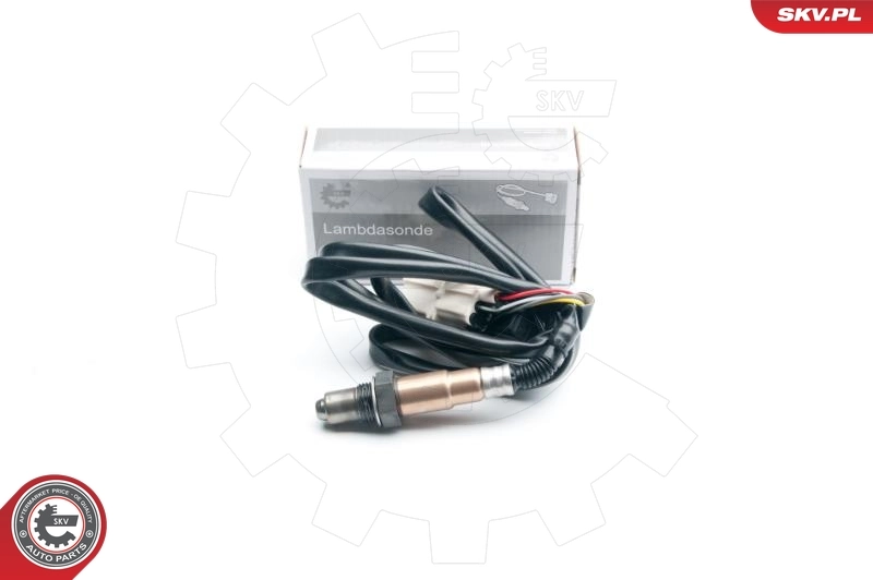 Oxygen Sensor